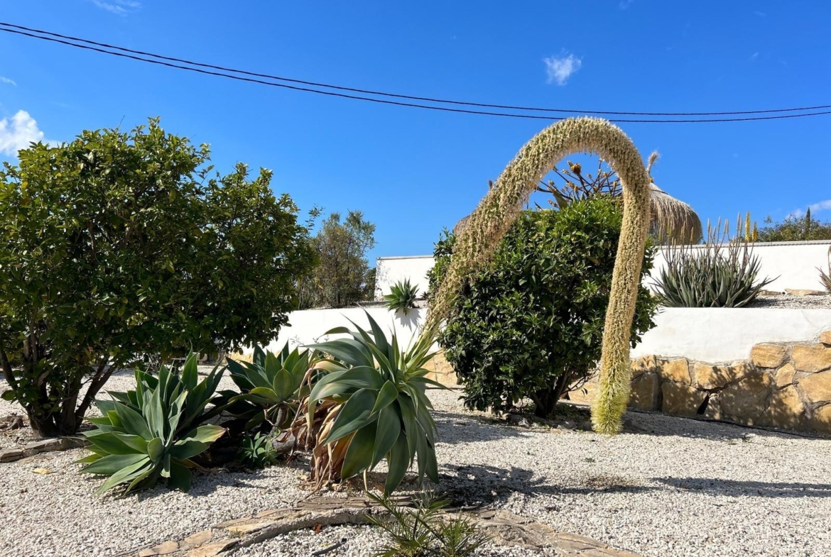 ✨ Nature Retreat in Villajoyosa