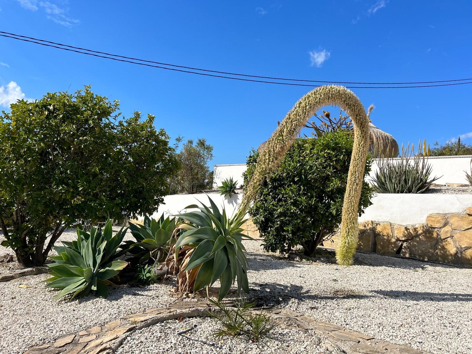 ✨ Nature Retreat in Villajoyosa