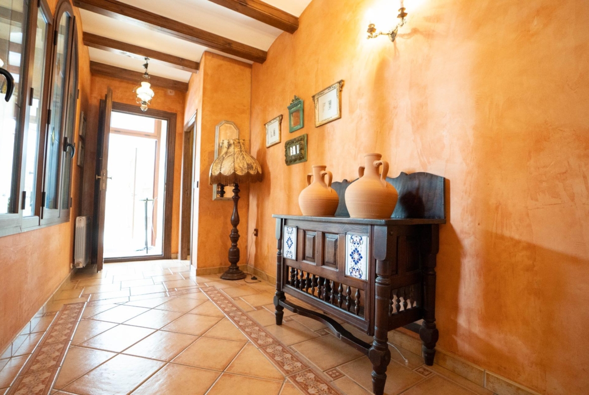 LARGE HOUSE WITH COMMERCIAL PREMISES IN SAN MIGUEL DE SALINAS