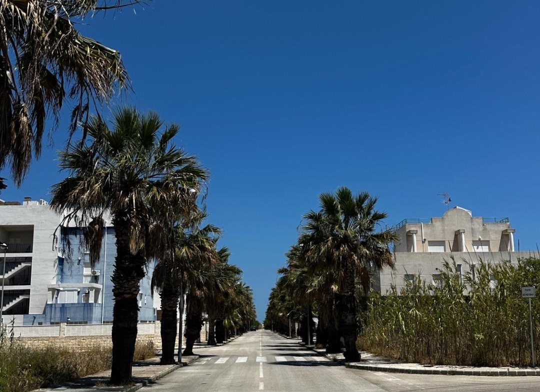 Exclusive townhouses in Oliva Nova: style, comfort, and sea just 500 m away