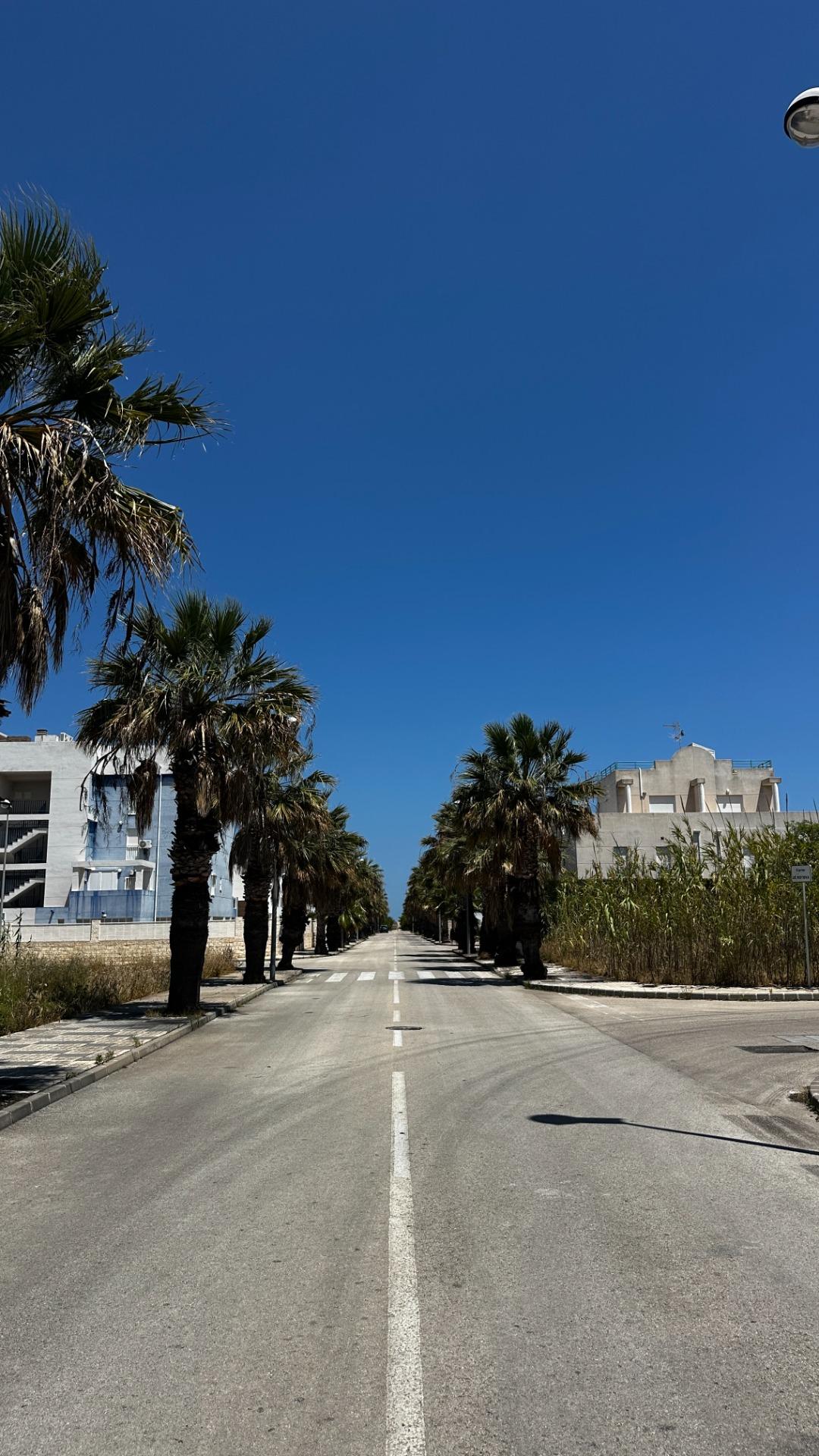 2-39-73 Exclusive townhouses in Oliva Nova: style, comfort, and sea just 500 m away