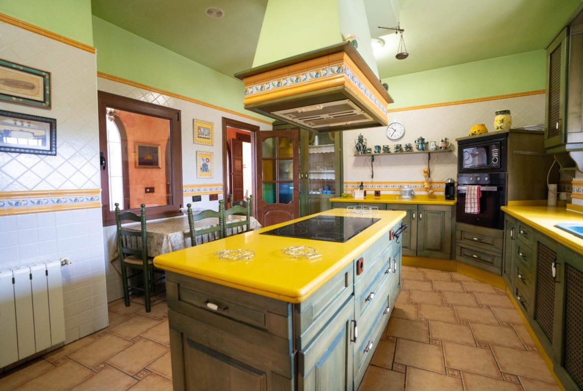LARGE HOUSE WITH COMMERCIAL PREMISES IN SAN MIGUEL DE SALINAS