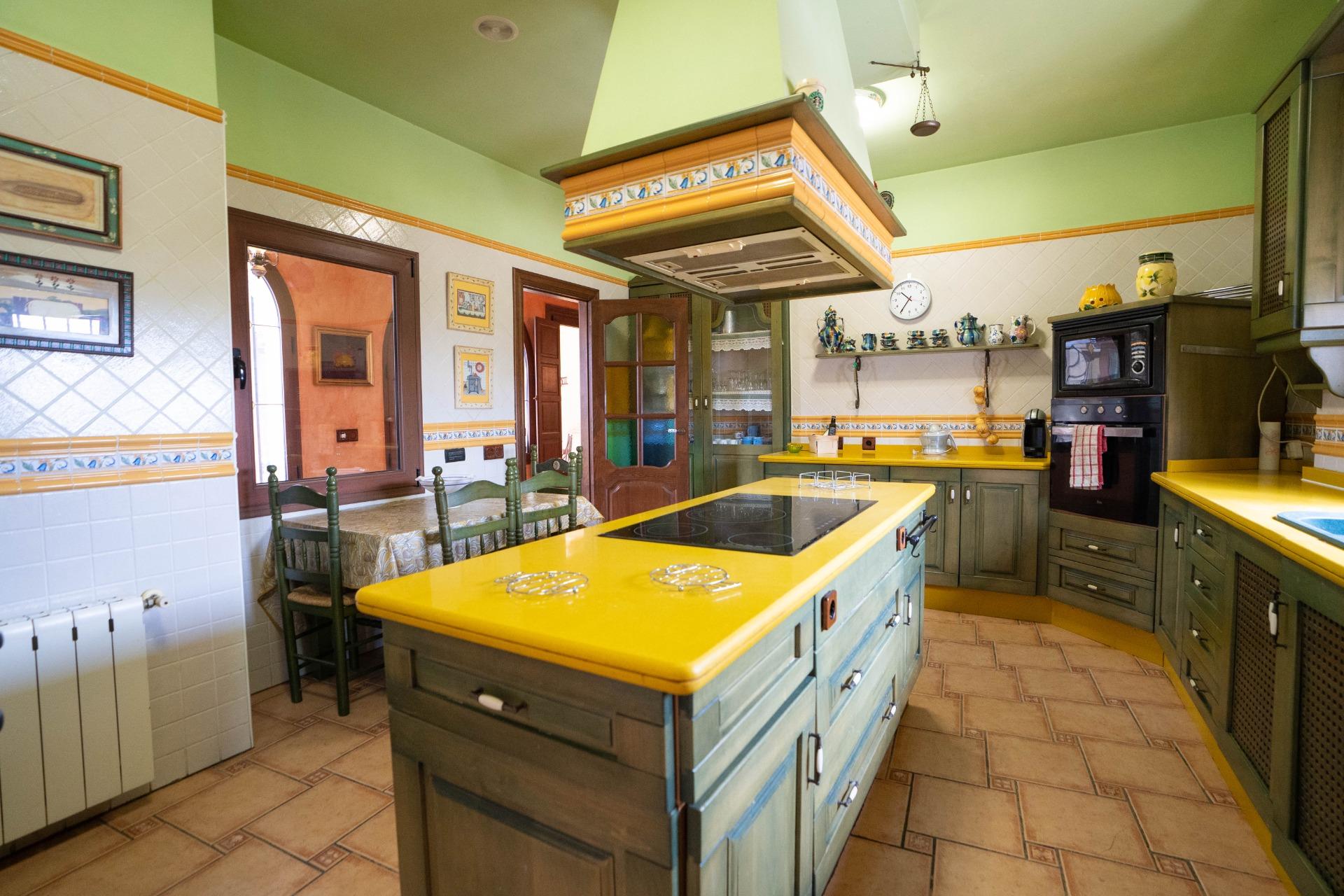 LARGE HOUSE WITH COMMERCIAL PREMISES IN SAN MIGUEL DE SALINAS