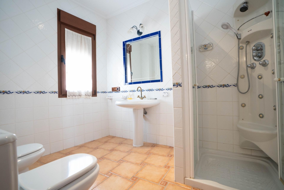 LARGE HOUSE WITH COMMERCIAL PREMISES IN SAN MIGUEL DE SALINAS