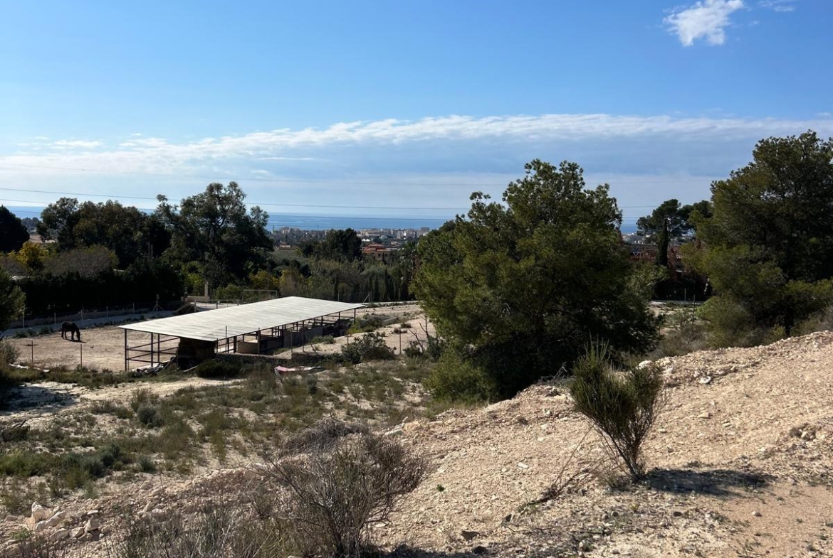 ✨ Nature Retreat in Villajoyosa