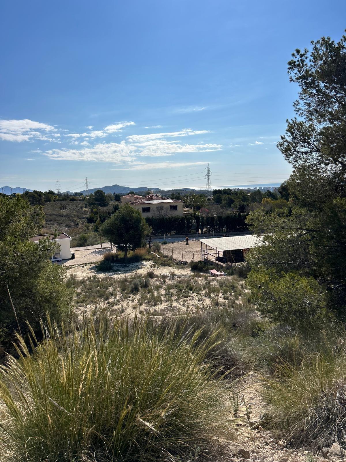 ✨ Nature Retreat in Villajoyosa