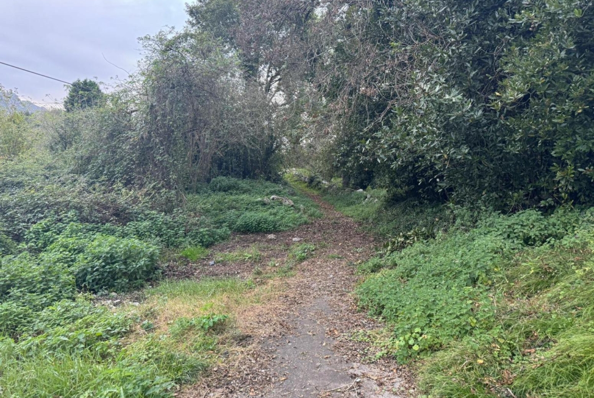 Unique opportunity in Llanes! Building plot for sale between the sea and the golf course