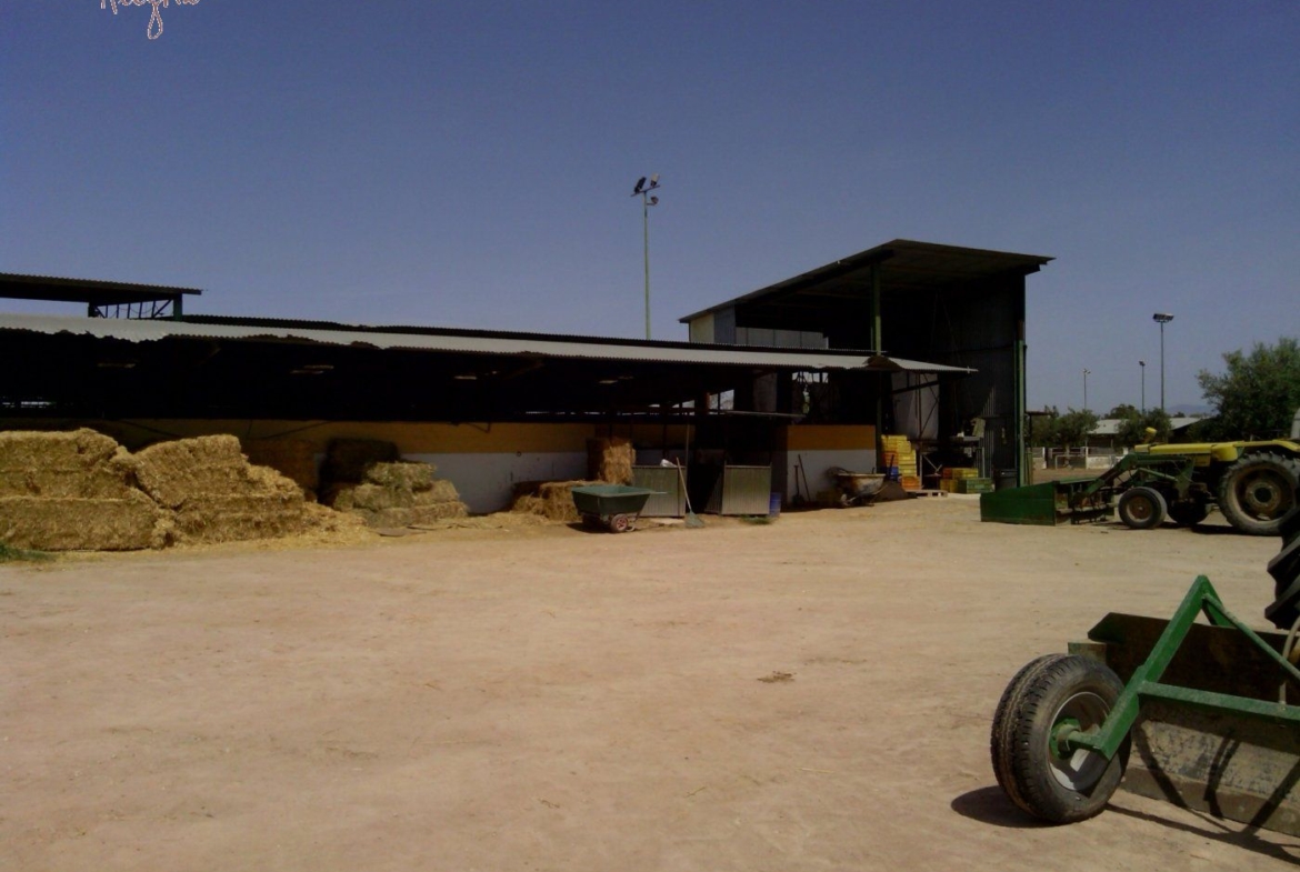 FAMOUS RIDING CENTER WITH INDEPENDENT RURAL HOUSE