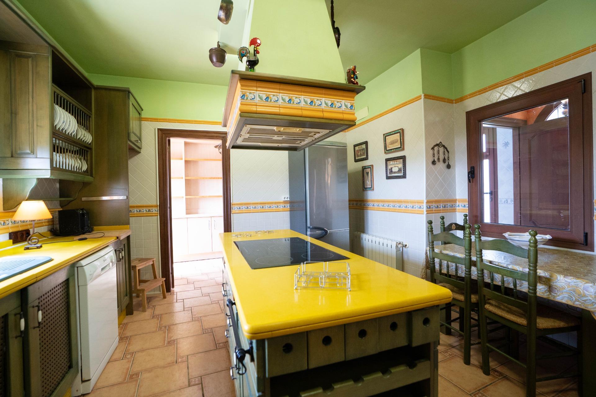 LARGE HOUSE WITH COMMERCIAL PREMISES IN SAN MIGUEL DE SALINAS