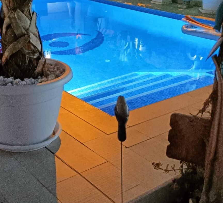 Mooie luxe villa in La Siesta