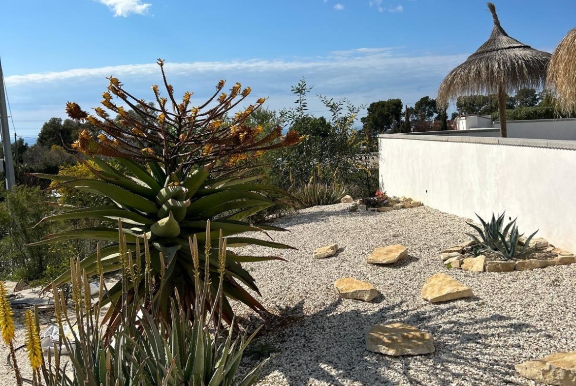 ✨ Nature Retreat in Villajoyosa