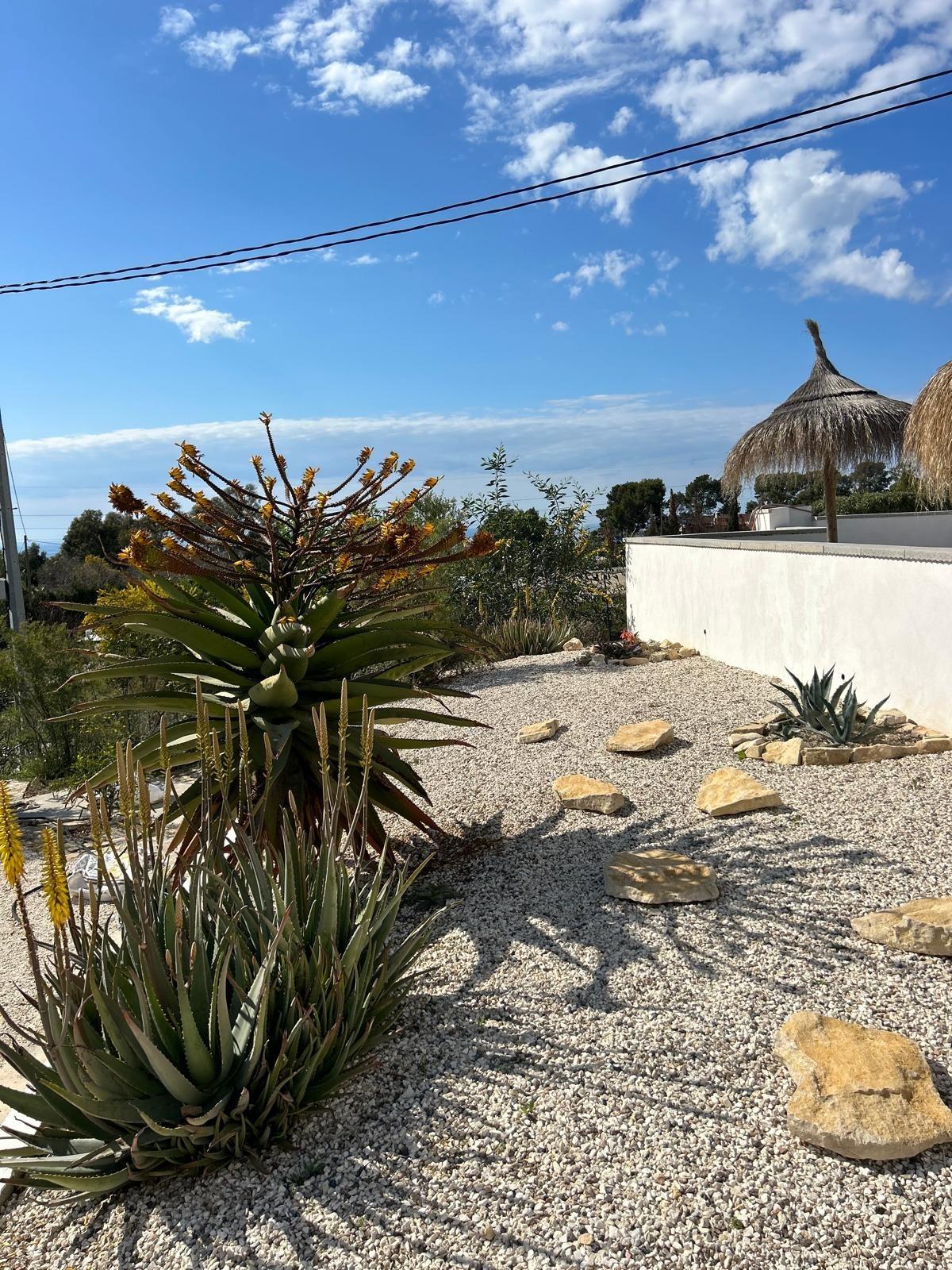 ✨ Nature Retreat in Villajoyosa