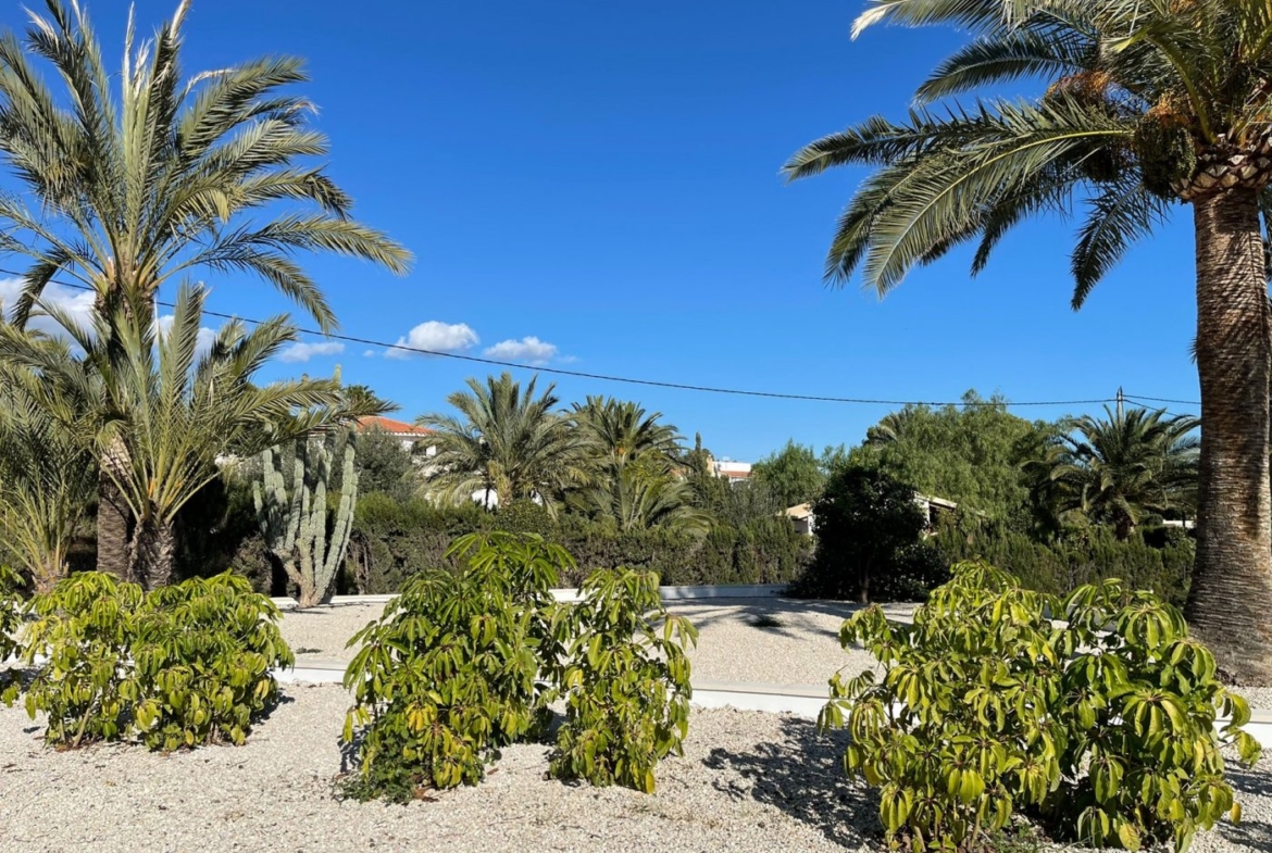 LUXURY VILLA IN ALTEA
