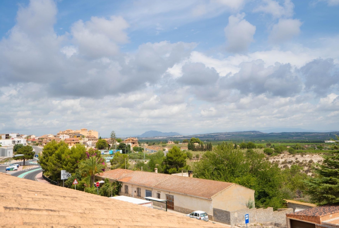 LARGE HOUSE WITH COMMERCIAL PREMISES IN SAN MIGUEL DE SALINAS