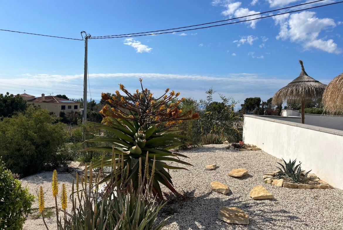 ✨ Nature Retreat in Villajoyosa