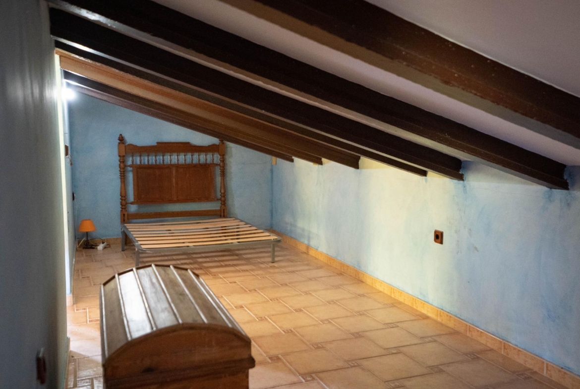 LARGE HOUSE WITH COMMERCIAL PREMISES IN SAN MIGUEL DE SALINAS