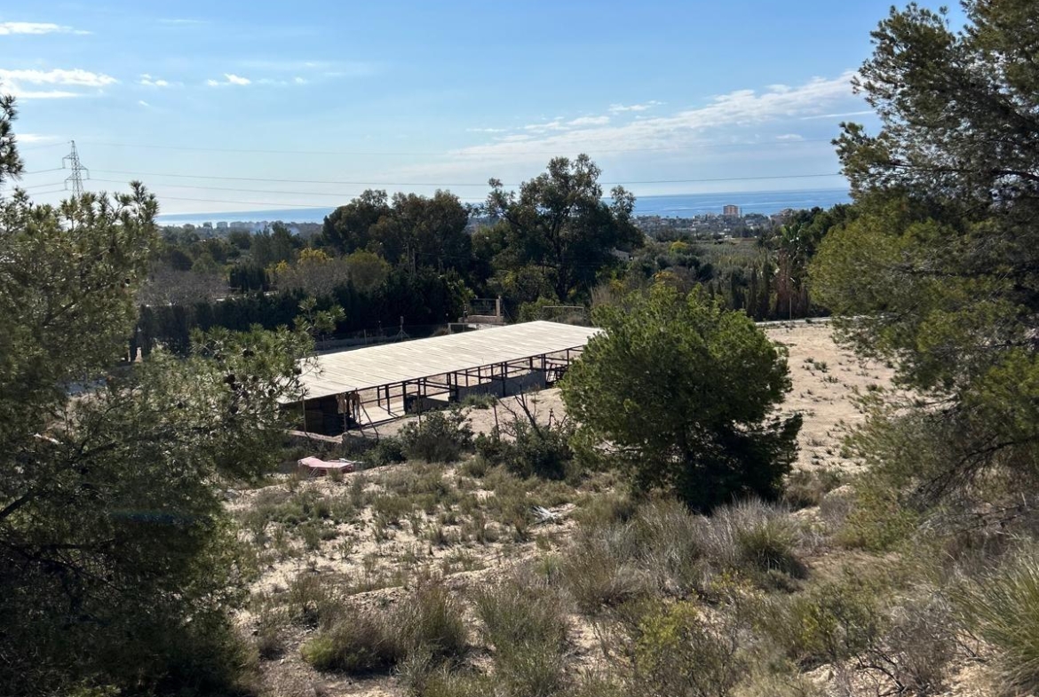 ✨ Nature Retreat in Villajoyosa