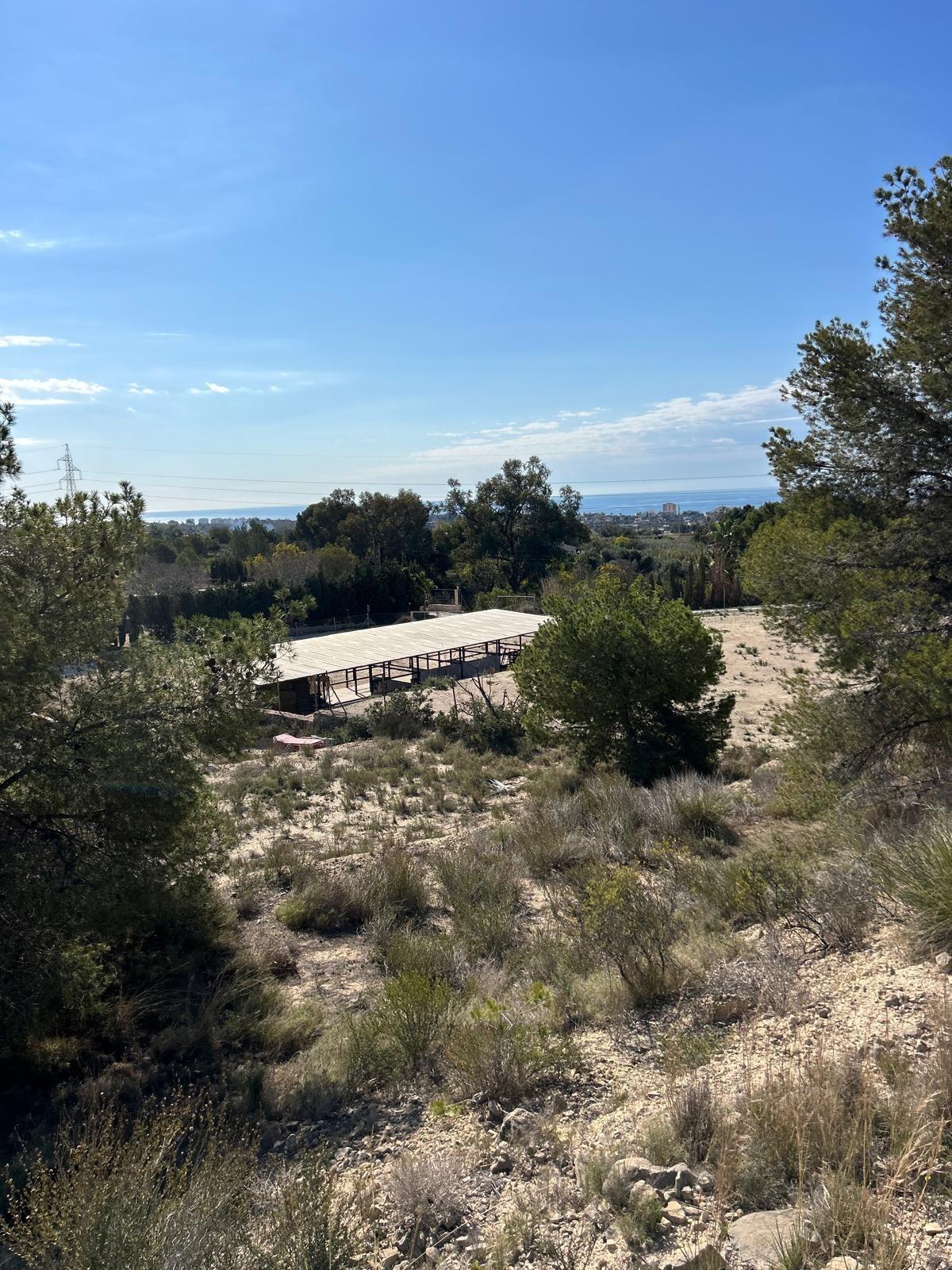 ✨ Nature Retreat in Villajoyosa