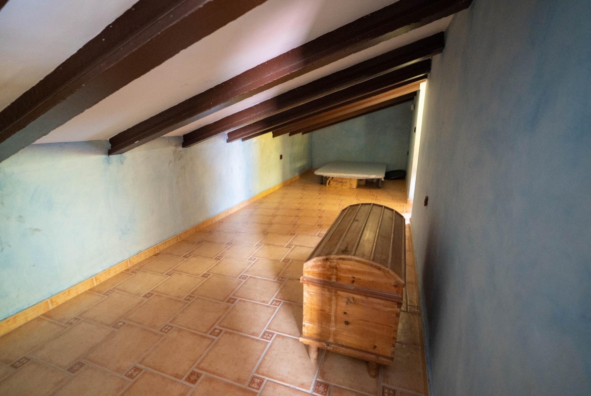 LARGE HOUSE WITH COMMERCIAL PREMISES IN SAN MIGUEL DE SALINAS