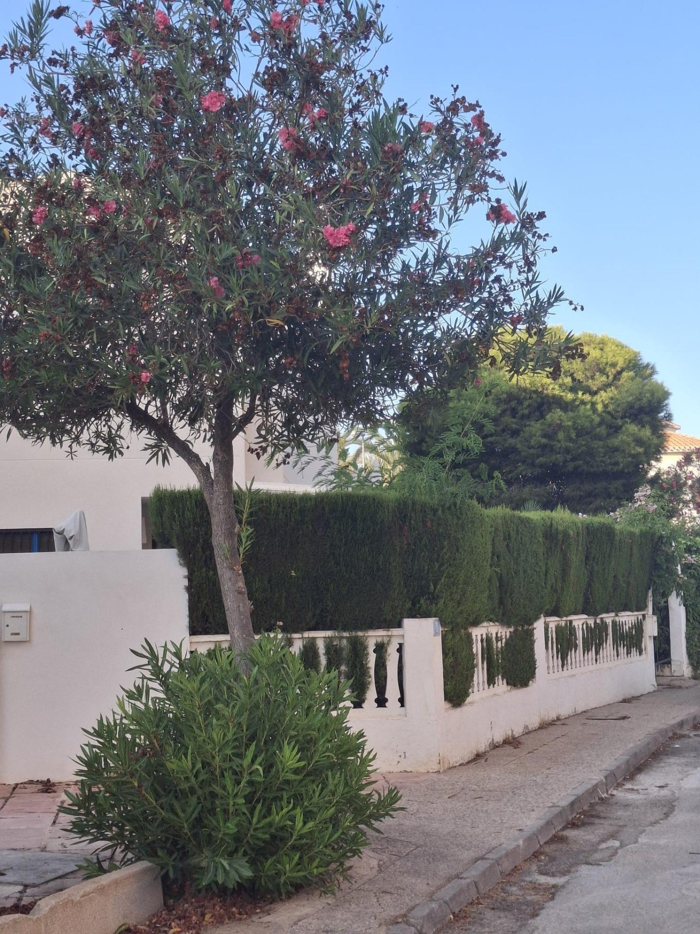 2-7-145 Spectacular Penthouse in La Zenia, Orihuela Costa – Sea Views and Steps from the Beach