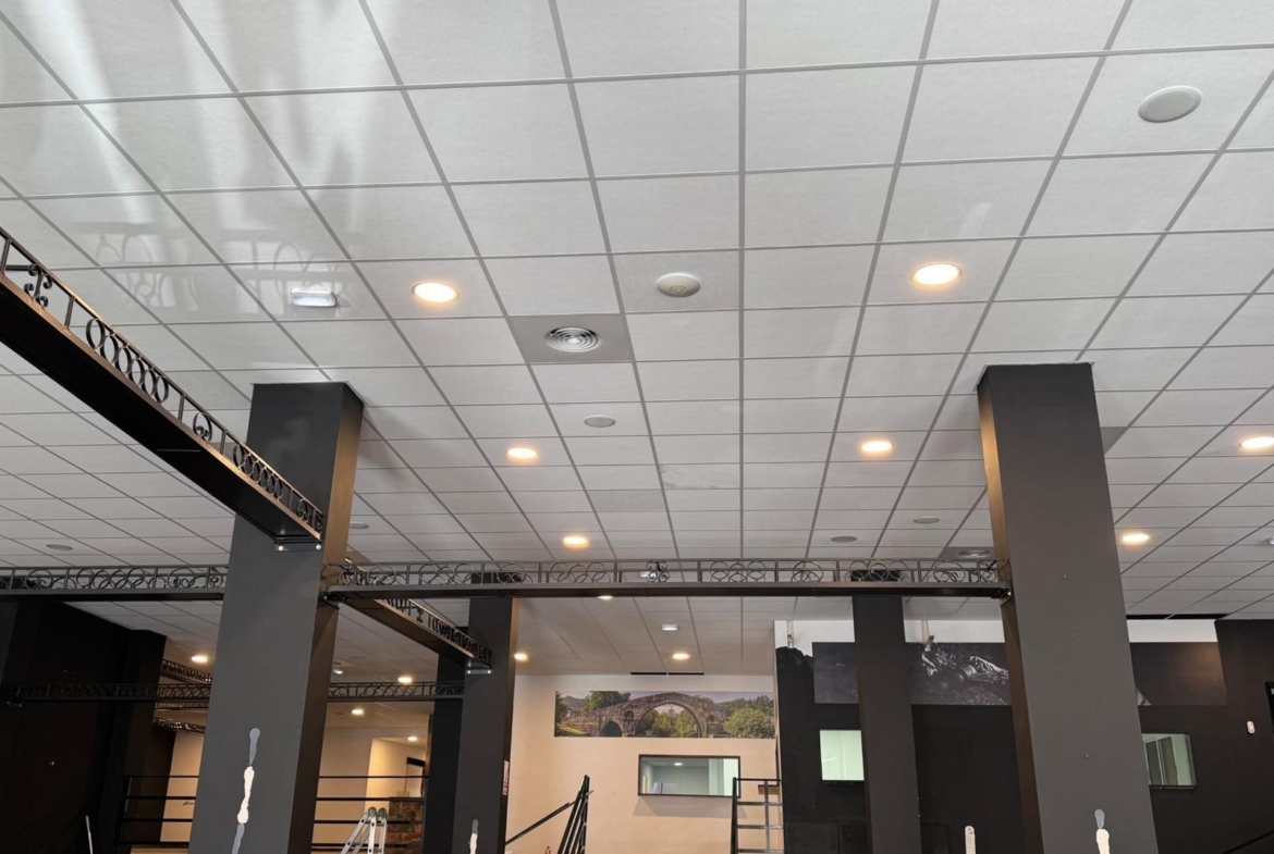 LOKALE COMERCIËLE CON SUPERFICIE DE 780 M2. SEGUNDA LINEA DE PLAYA. 70 METROS DEL MAR.