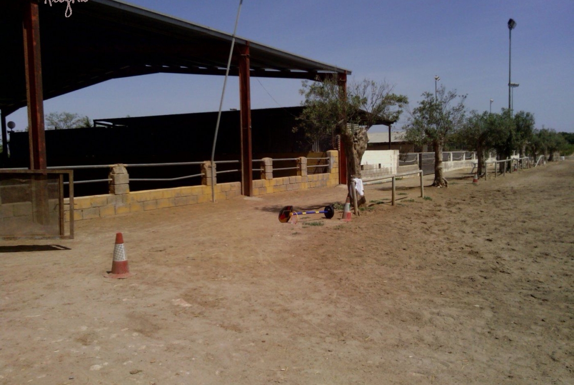 FAMOUS RIDING CENTER WITH INDEPENDENT RURAL HOUSE