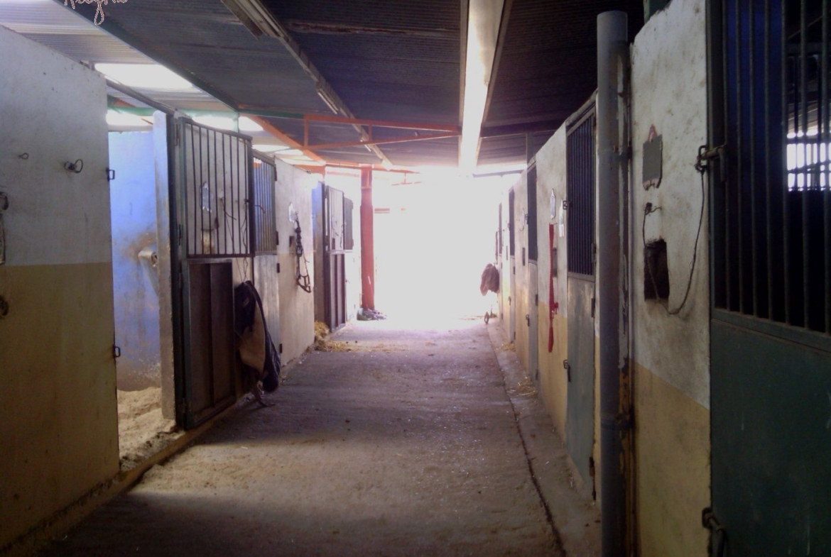 FAMOUS RIDING CENTER WITH INDEPENDENT RURAL HOUSE