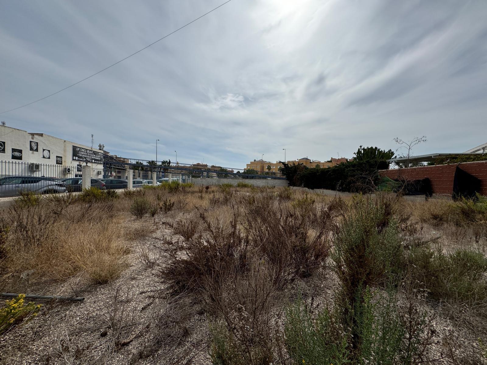 PARCELA 1000 M2 EN ORIHUELA COSTA. A 350 METROS DEL MAR.