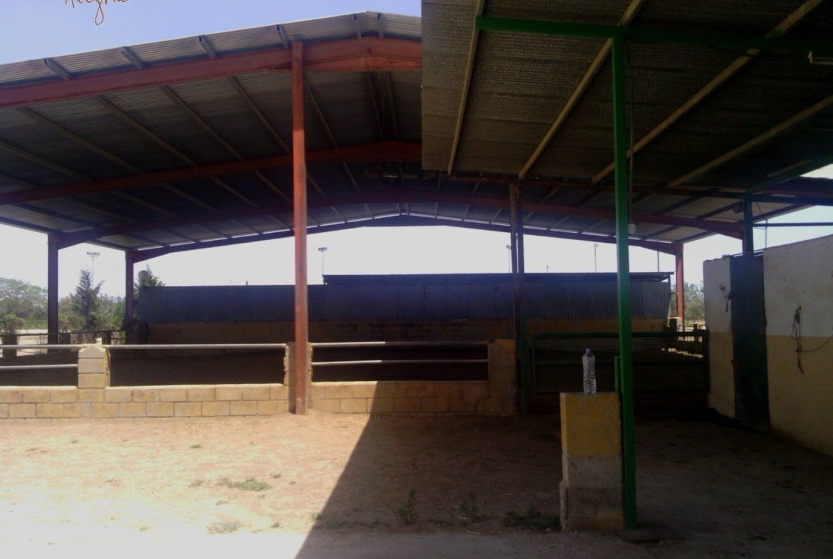 FAMOUS RIDING CENTER WITH INDEPENDENT RURAL HOUSE