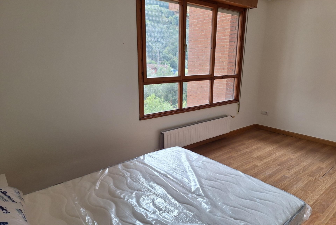 Amplio piso para entrar a vivir en Mieres