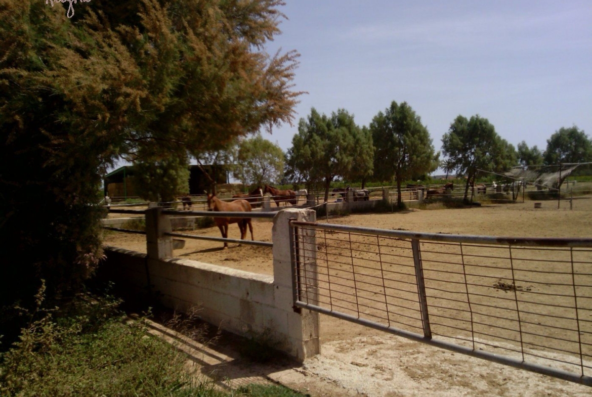 FAMOUS RIDING CENTER WITH INDEPENDENT RURAL HOUSE