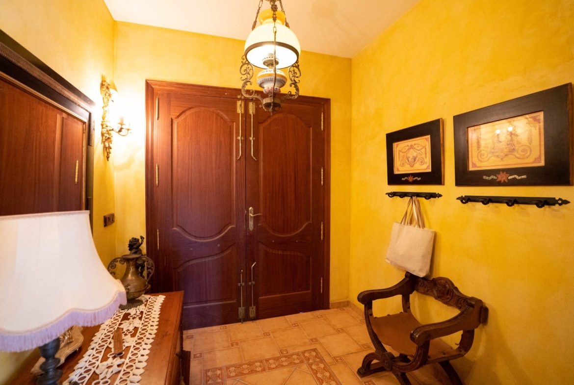 LARGE HOUSE WITH COMMERCIAL PREMISES IN SAN MIGUEL DE SALINAS