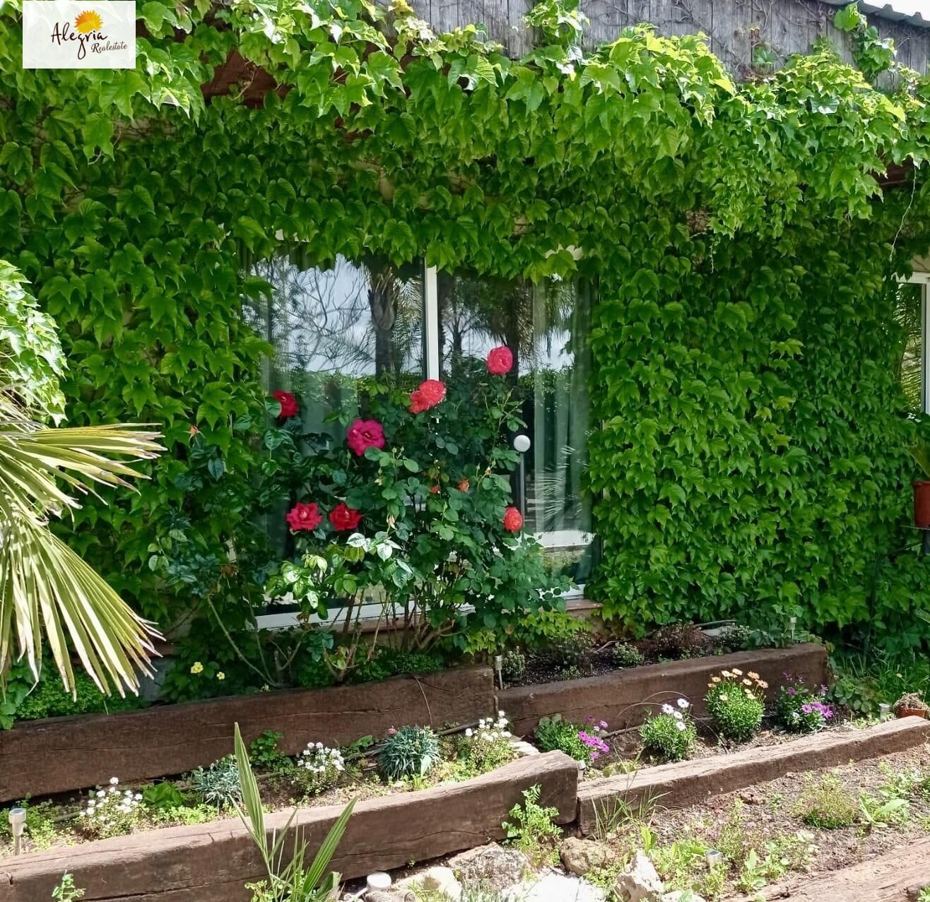 20-26-3 EXCLUSIVE VILLA-OASIS WITH GUEST-HOUSES (BÉTERA)