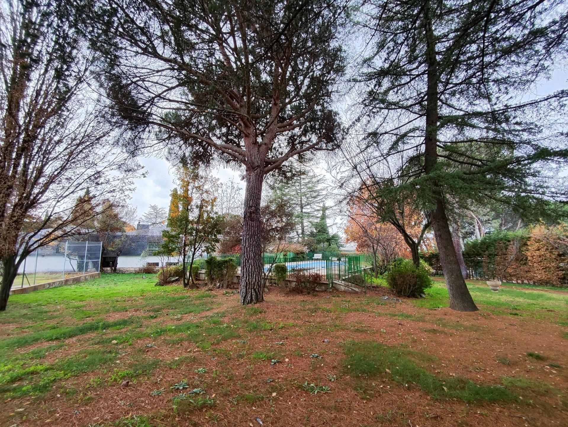 SPECTACULAR DETACHED CHALET IN SOTO DEL REAL, MADRID