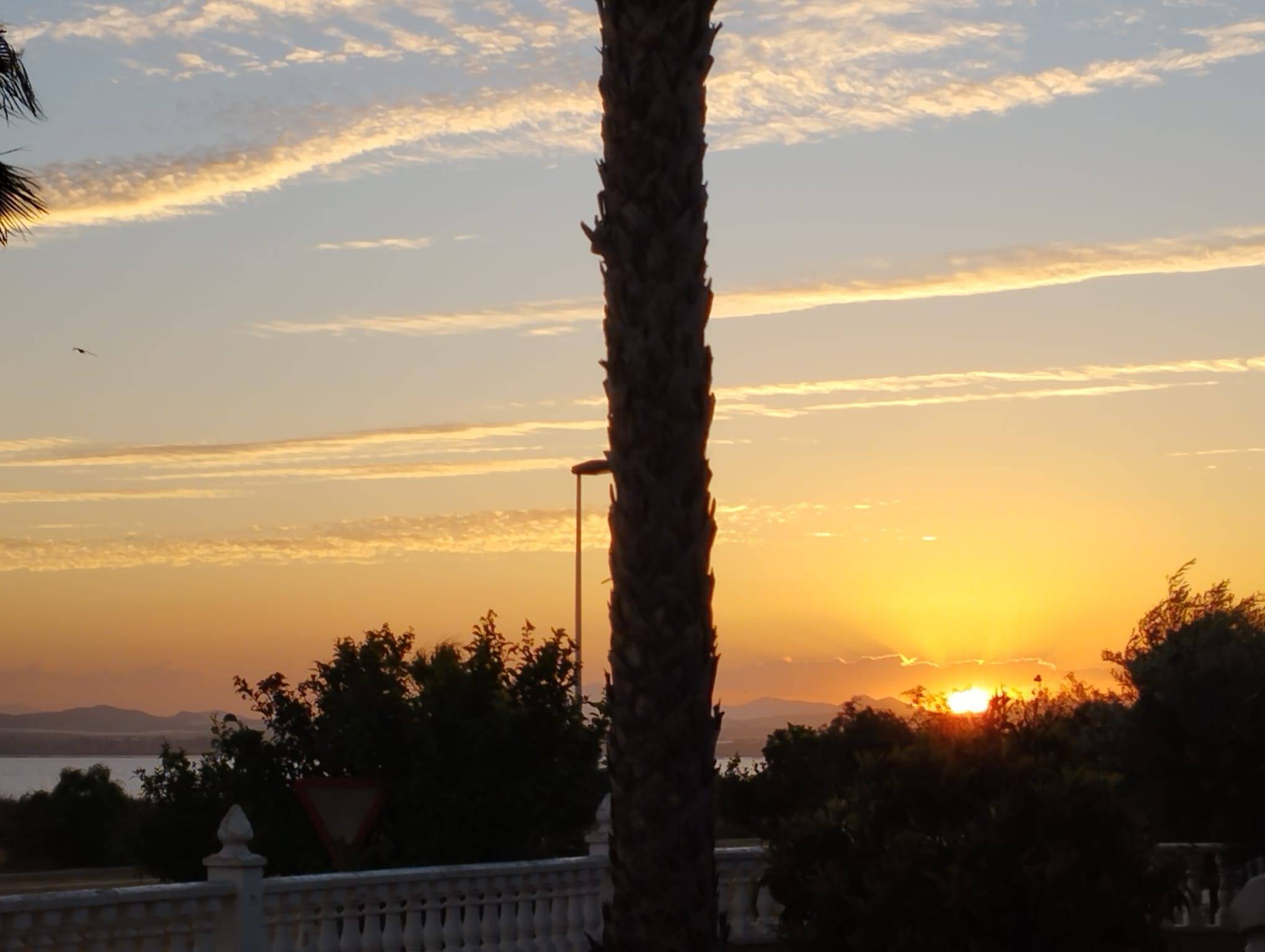 24-42 Exclusive Villa with Salt Lake Views in Torrevieja
