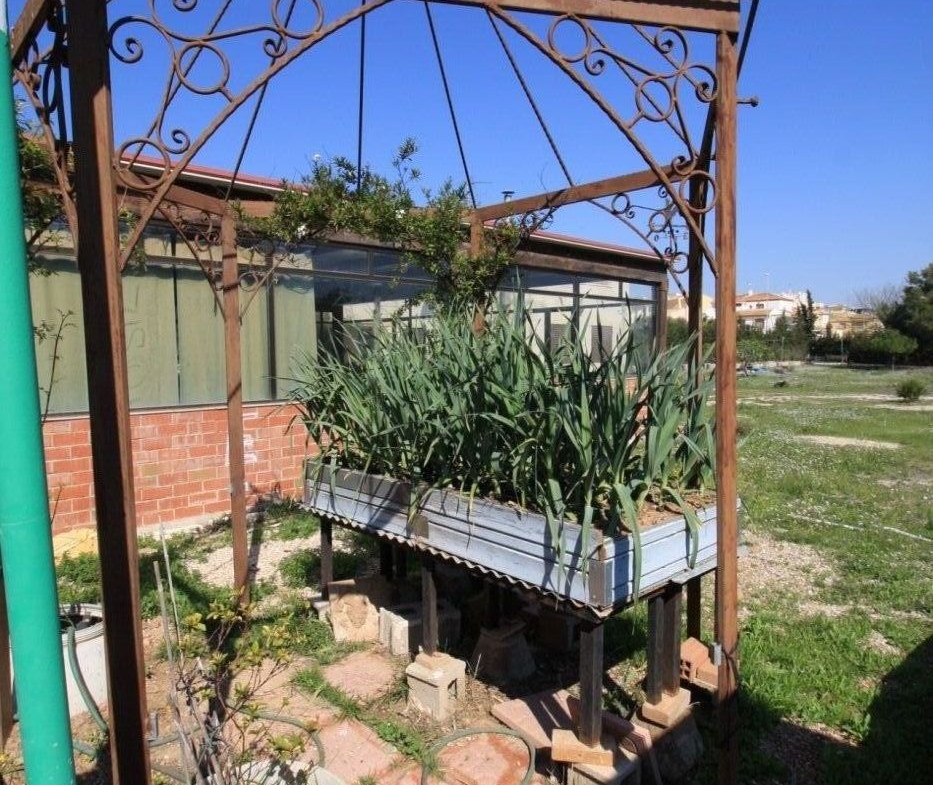 CAMPOAMOR, SPECTACULAR FINCA, 3500 M2  PLOT WITH 2 HOUSES, PRIVATE POOL, 2500 METERS FROM THE BEACH