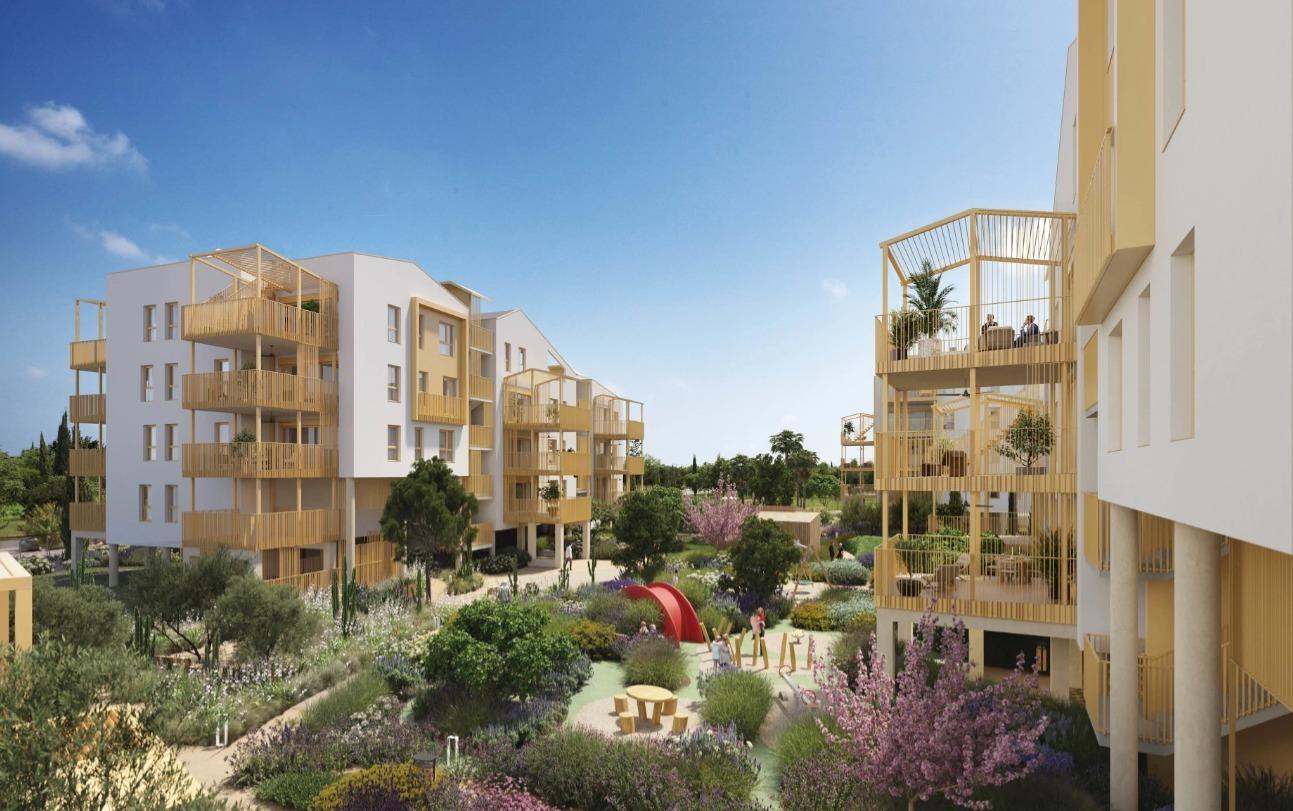 Newly built sustainable homes next to the sea