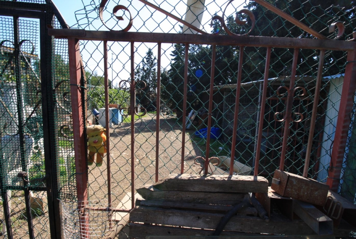 CAMPOAMOR, SPECTACULAR FINCA, 3500 M2  PLOT WITH 2 HOUSES, PRIVATE POOL, 2500 METERS FROM THE BEACH