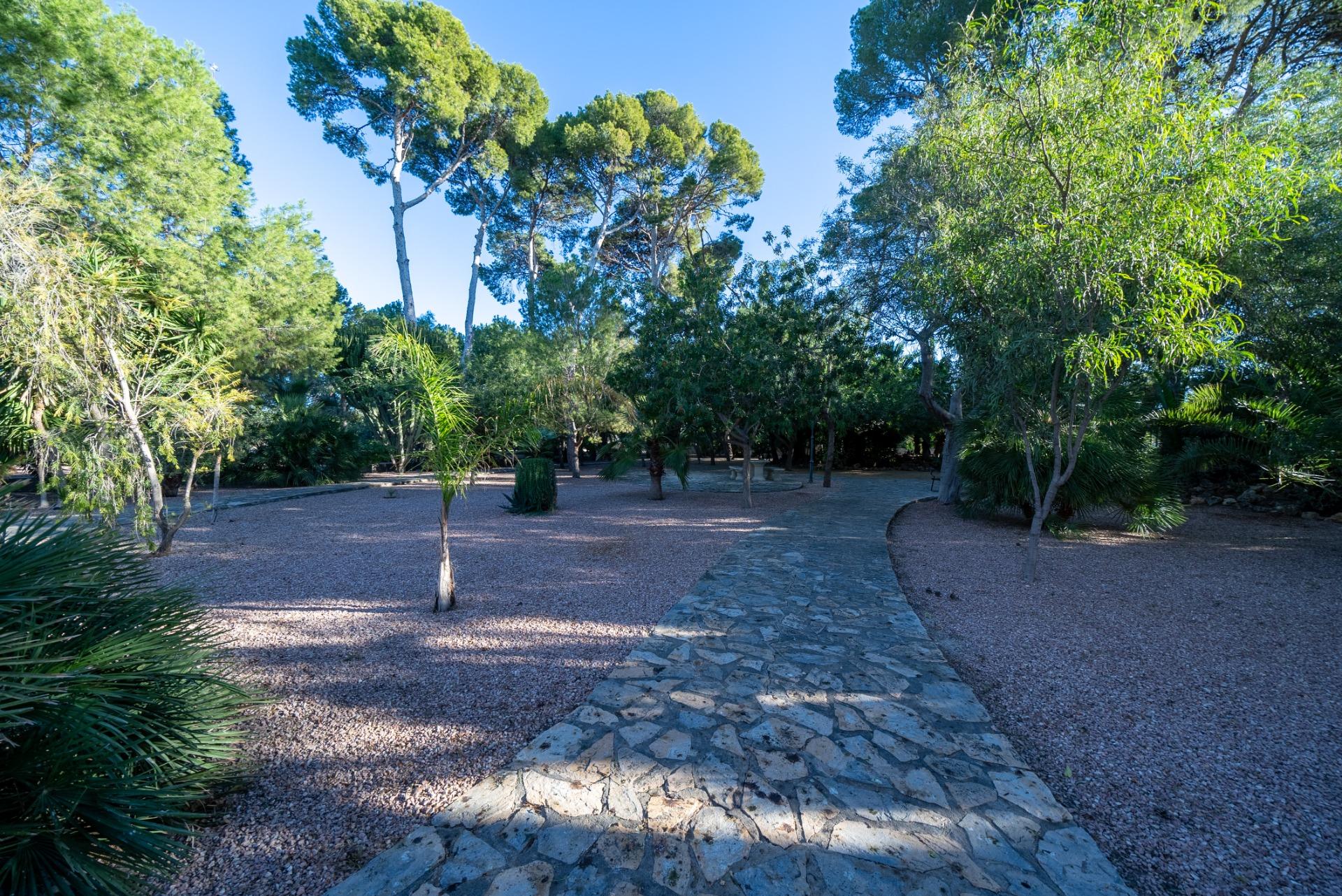 3-2-119 Rustic Oasis: Large House with Land All the Amenities