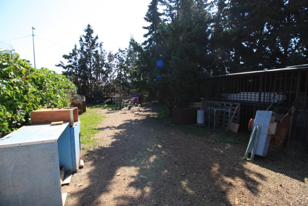 CAMPOAMOR, SPECTACULAR FINCA, 3500 M2  PLOT WITH 2 HOUSES, PRIVATE POOL, 2500 METERS FROM THE BEACH