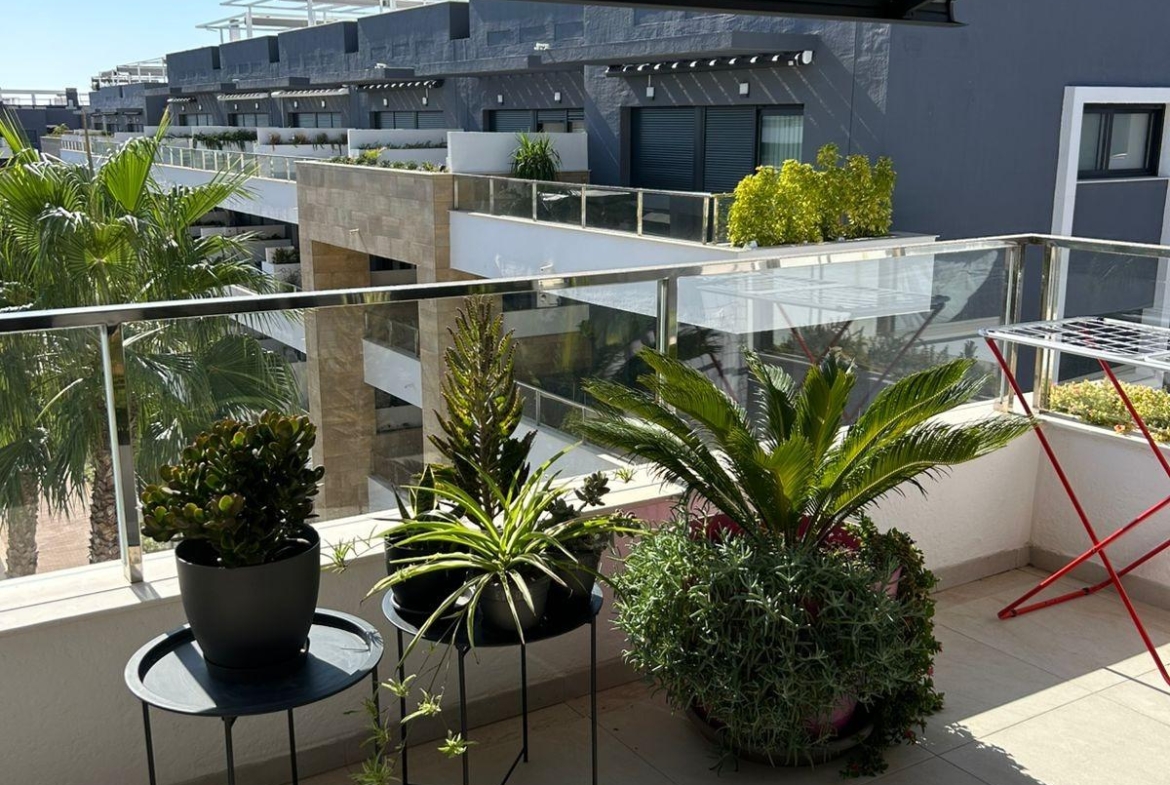 ÁTICO EN PLAYA FLAMENCA CON SOLARIUM PRIVADO. 2 DORM. 2 BAÑOS. 80 M2 DE SUPERFICIE. PISCINAS COMUN.