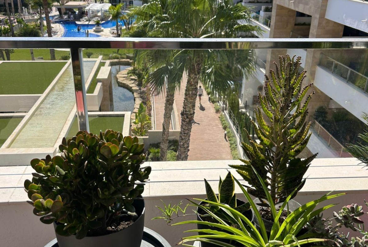 ÁTICO EN PLAYA FLAMENCA CON SOLARIUM PRIVADO. 2 DORM. 2 BAÑOS. 80 M2 DE SUPERFICIE. PISCINAS COMUN.