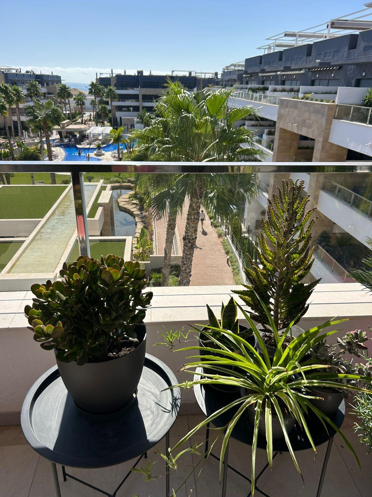 3-26-65 ÁTICO EN PLAYA FLAMENCA CON SOLARIUM PRIVADO. 2 DORM. 2 BAÑOS. 80 M2 DE SUPERFICIE. PISCINAS COMUN.