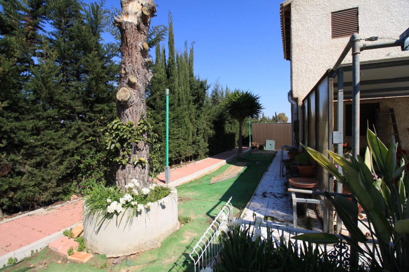 3-31-1 CAMPOAMOR, SPECTACULAR FINCA, 3500 M2 PLOT WITH 2 HOUSES, PRIVATE POOL, 2500 METERS FROM THE BEACH