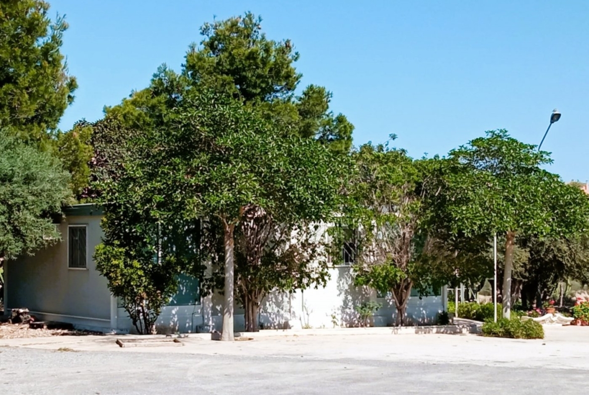 INDEPENDENT VILLA OF 500M2 – LAND OF 10,000M2 NEXT TO BONALBA – MUCHAMIEL