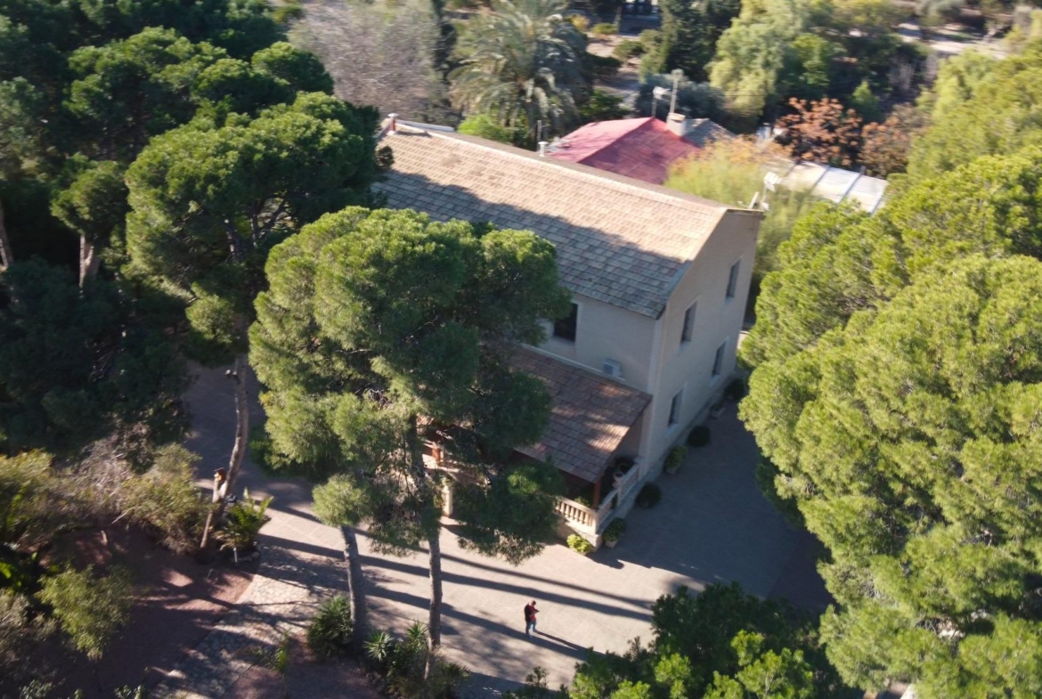 Rustic Oasis: Large House with Land All the Amenities