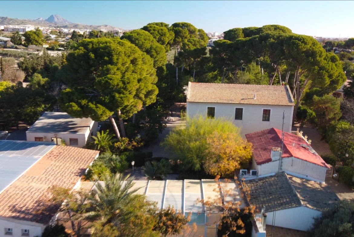 Rustic Oasis: Large House with Land All the Amenities