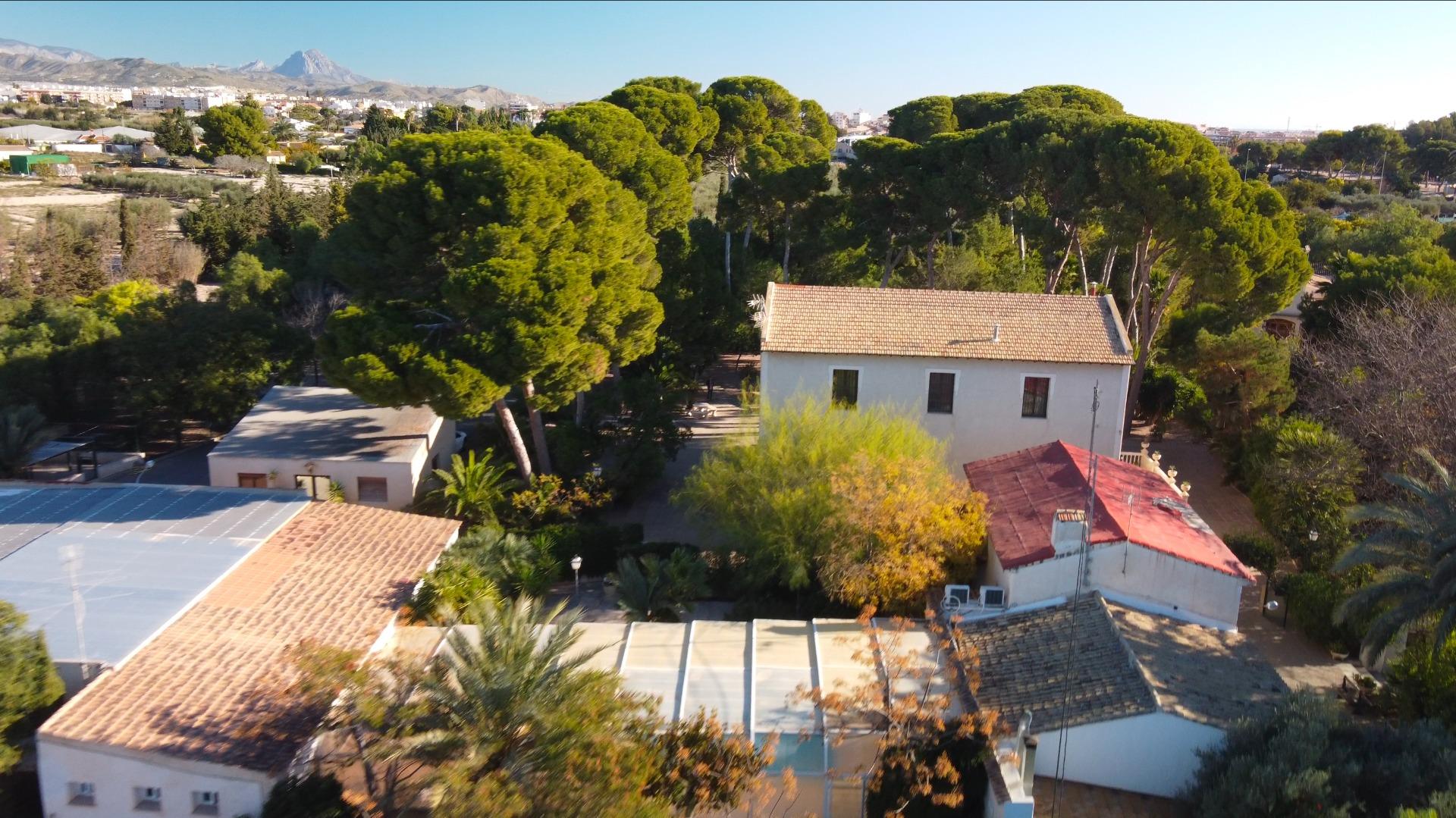 3-45-14 Rustic Oasis: Large House with Land All the Amenities