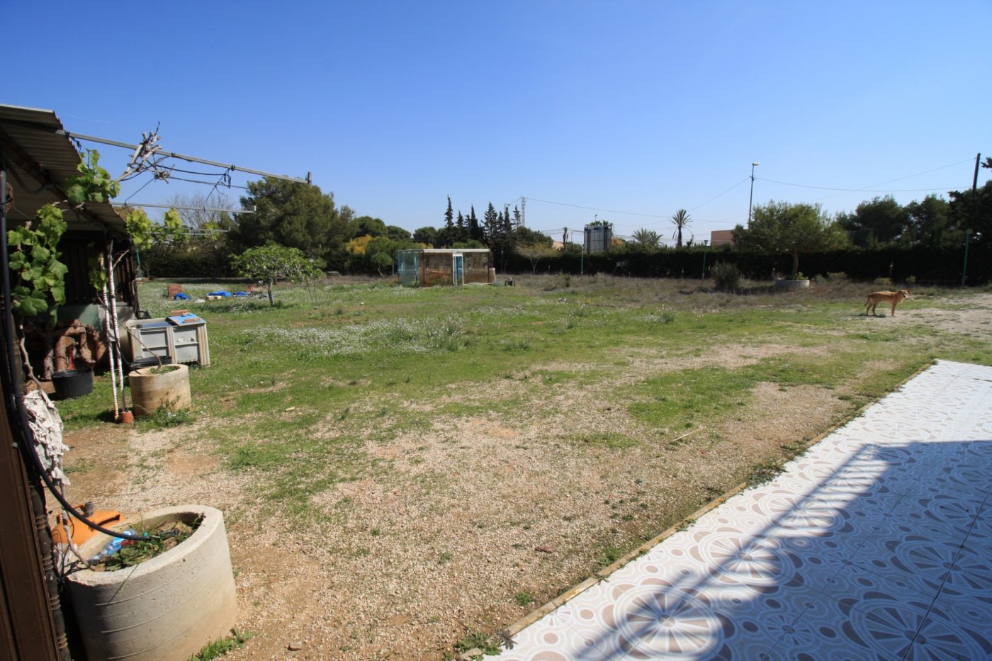 3-50-1 CAMPOAMOR, SPECTACULAR FINCA, 3500 M2 PLOT WITH 2 HOUSES, PRIVATE POOL, 2500 METERS FROM THE BEACH
