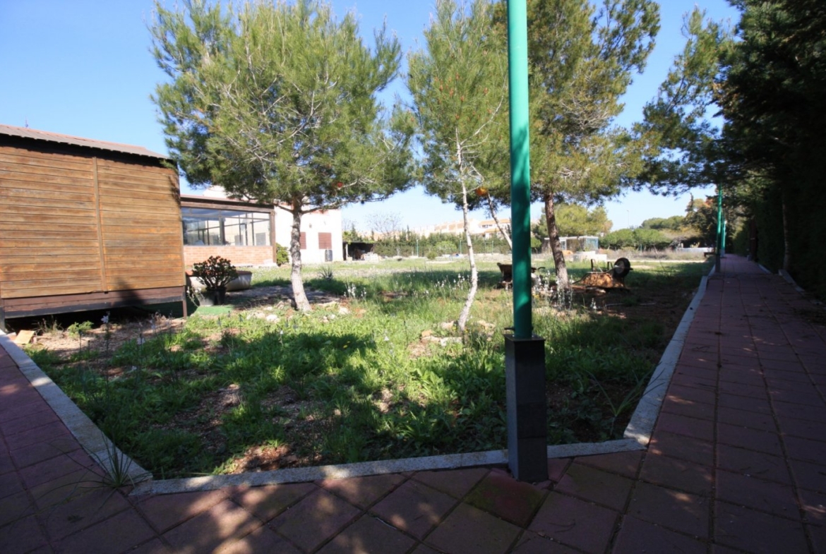 CAMPOAMOR, SPECTACULAR FINCA, 3500 M2  PLOT WITH 2 HOUSES, PRIVATE POOL, 2500 METERS FROM THE BEACH